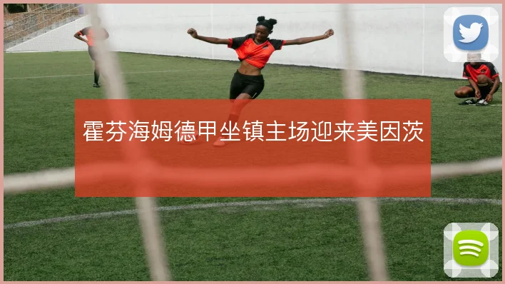 霍芬海姆德甲坐镇主场迎来美因茨