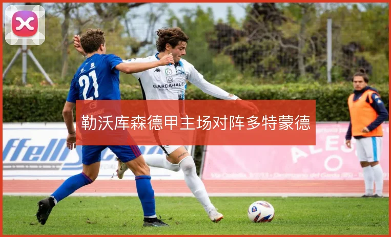 勒沃库森德甲主场对阵多特蒙德